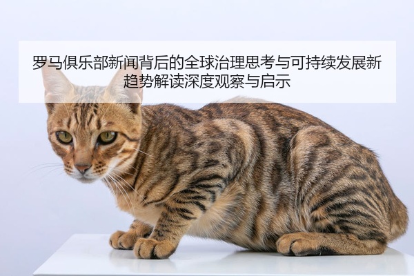 罗马俱乐部新闻背后的全球治理思考与可持续发展新趋势解读深度观察与启示