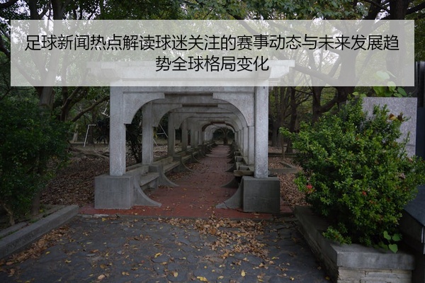 足球新闻热点解读球迷关注的赛事动态与未来发展趋势全球格局变化