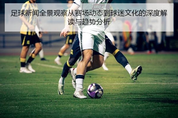 足球新闻全景观察从赛场动态到球迷文化的深度解读与趋势分析