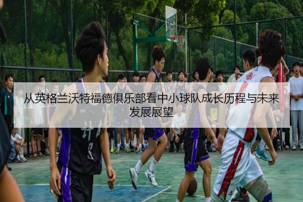 从英格兰沃特福德俱乐部看中小球队成长历程与未来发展展望