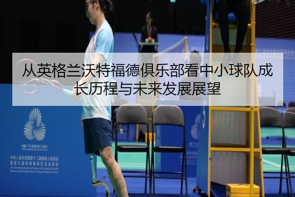 从英格兰沃特福德俱乐部看中小球队成长历程与未来发展展望