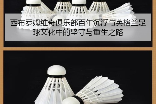 西布罗姆维奇俱乐部百年沉浮与英格兰足球文化中的坚守与重生之路