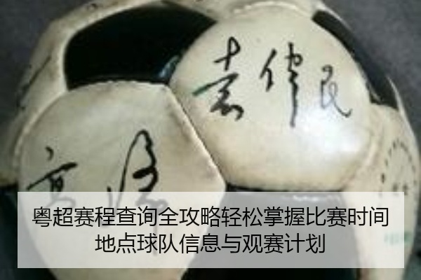 粤超赛程查询全攻略轻松掌握比赛时间地点球队信息与观赛计划