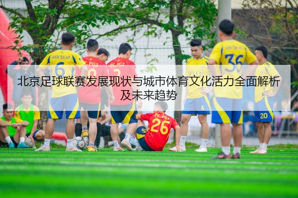 北京足球联赛发展现状与城市体育文化活力全面解析及未来趋势