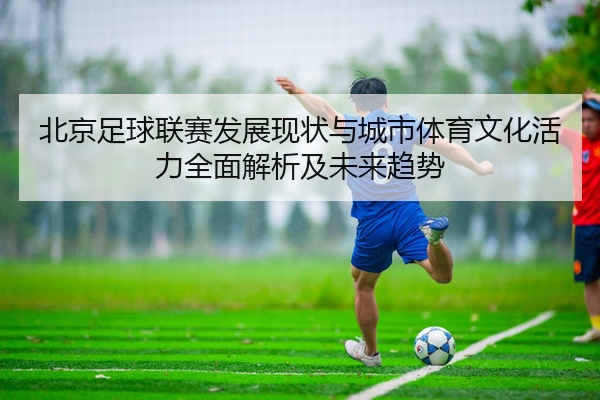 北京足球联赛发展现状与城市体育文化活力全面解析及未来趋势