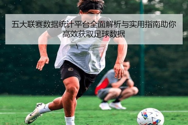 五大联赛数据统计平台全面解析与实用指南助你高效获取足球数据