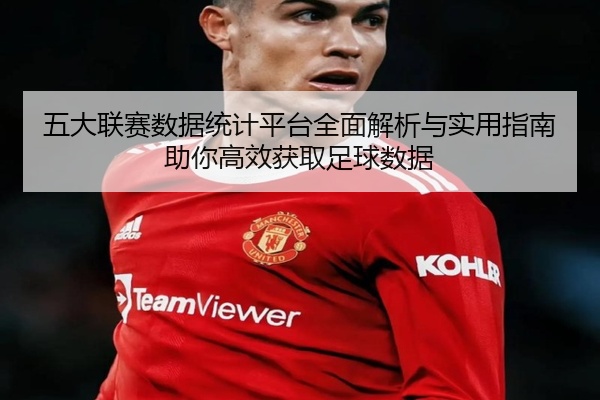 五大联赛数据统计平台全面解析与实用指南助你高效获取足球数据